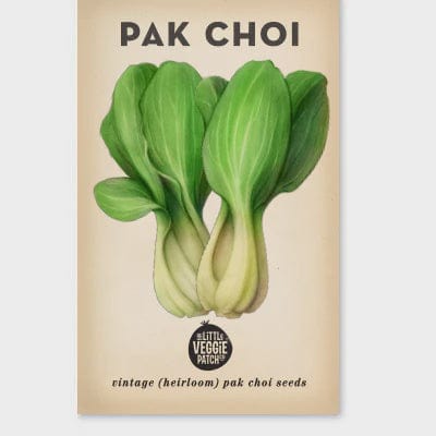 Little Veggie Patch Pak Choi Heirloom Seeds