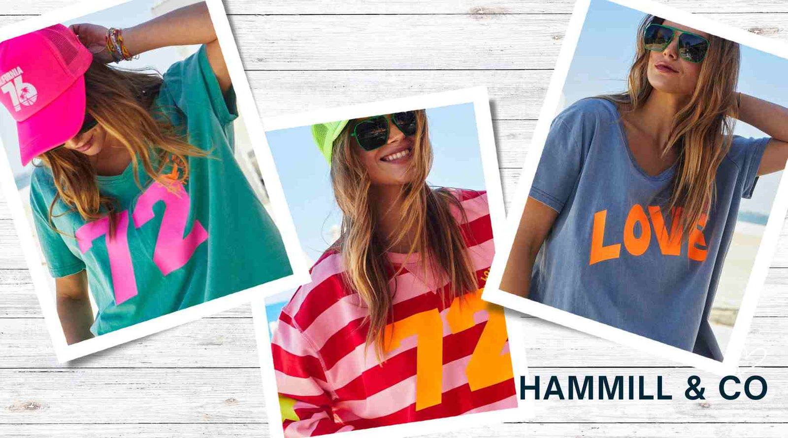 Spotlight on Hammill + Co