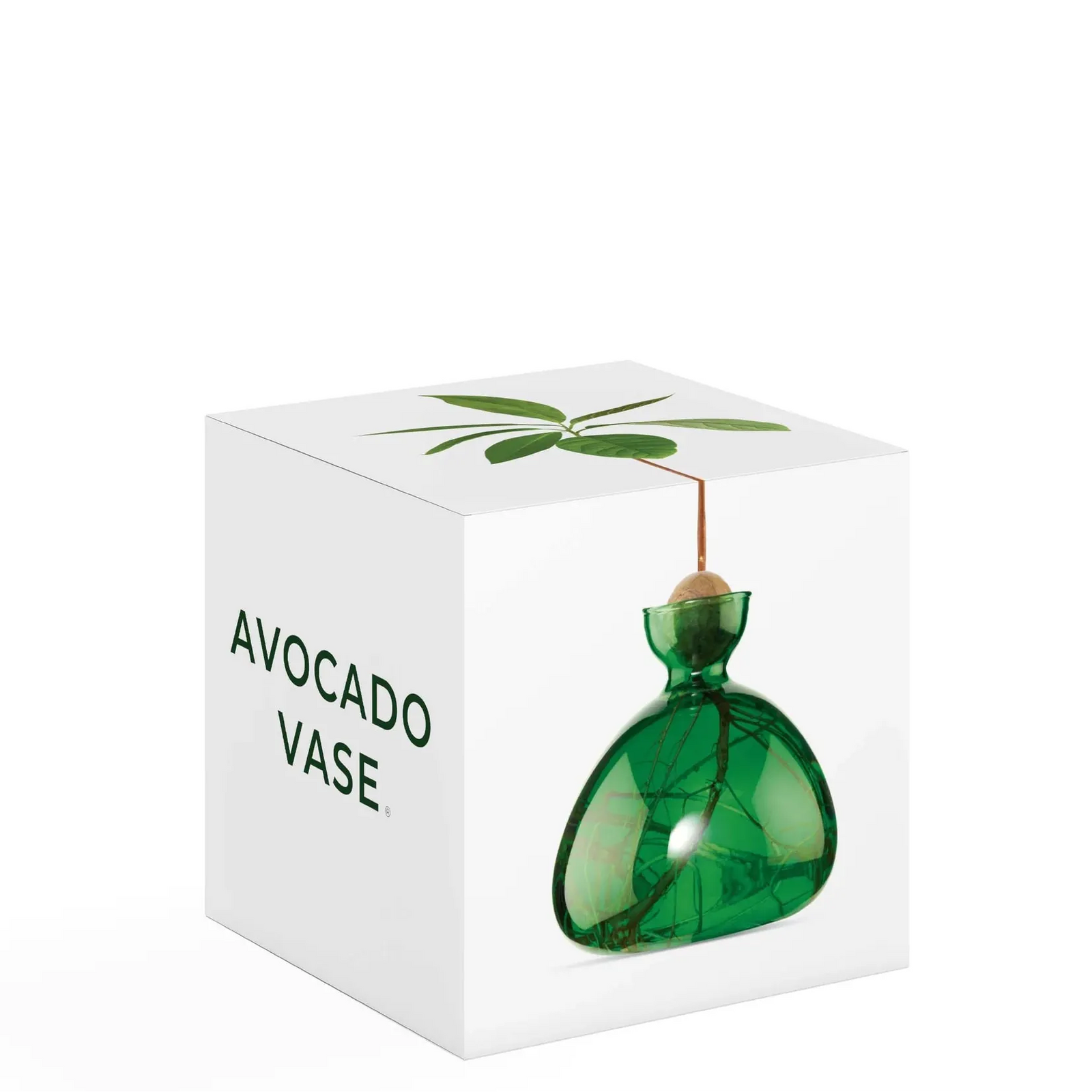 Ilex Studio Avocado Vase | Emerald Green