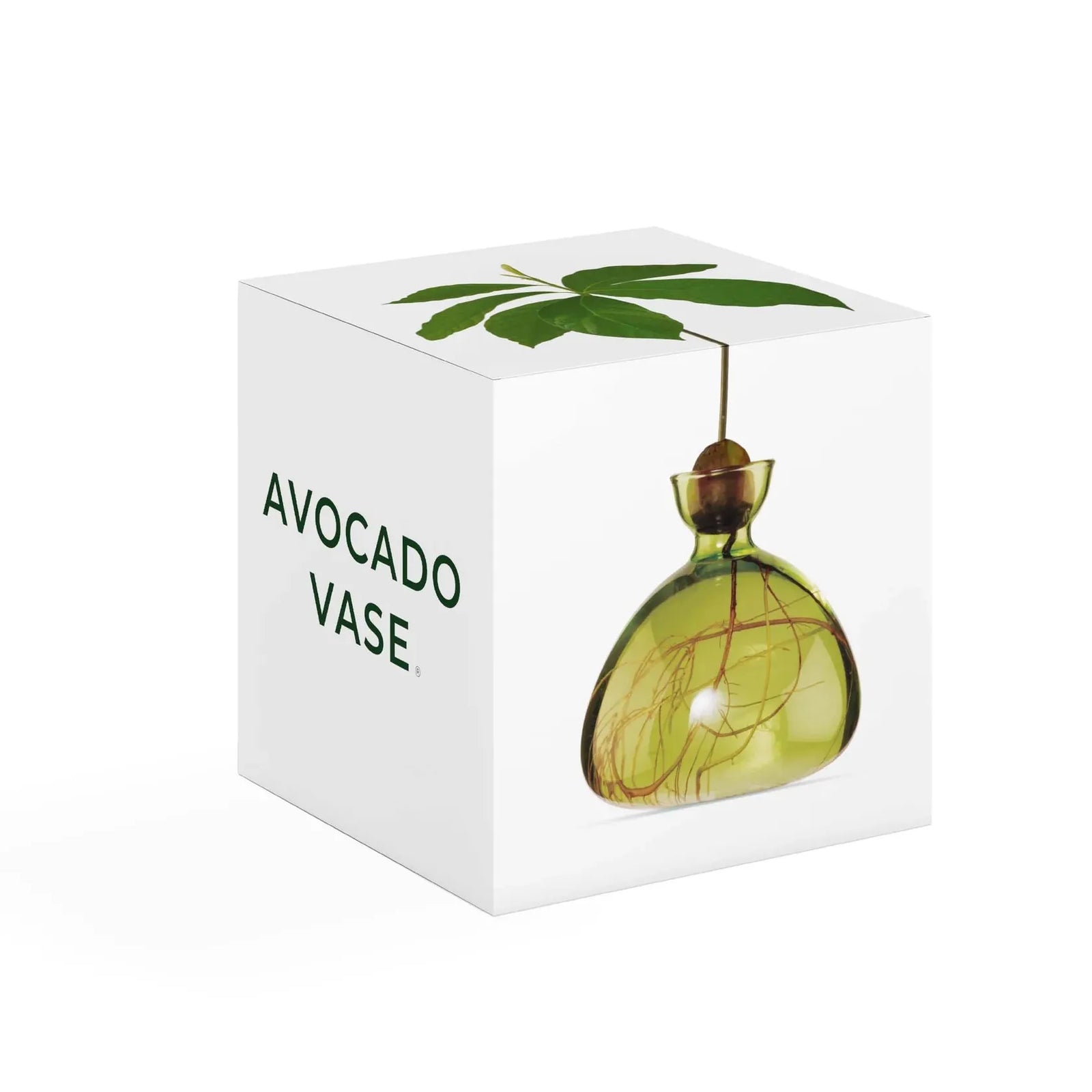 Ilex Studio Avocado Vase | Grass Green