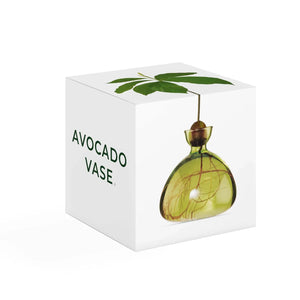 Ilex Studio Avocado Vase | Grass Green