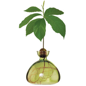Ilex Studio Avocado Vase | Grass Green
