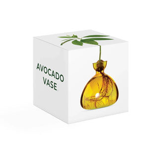 Ilex Studio Avocado Vase | Mellow Yellow