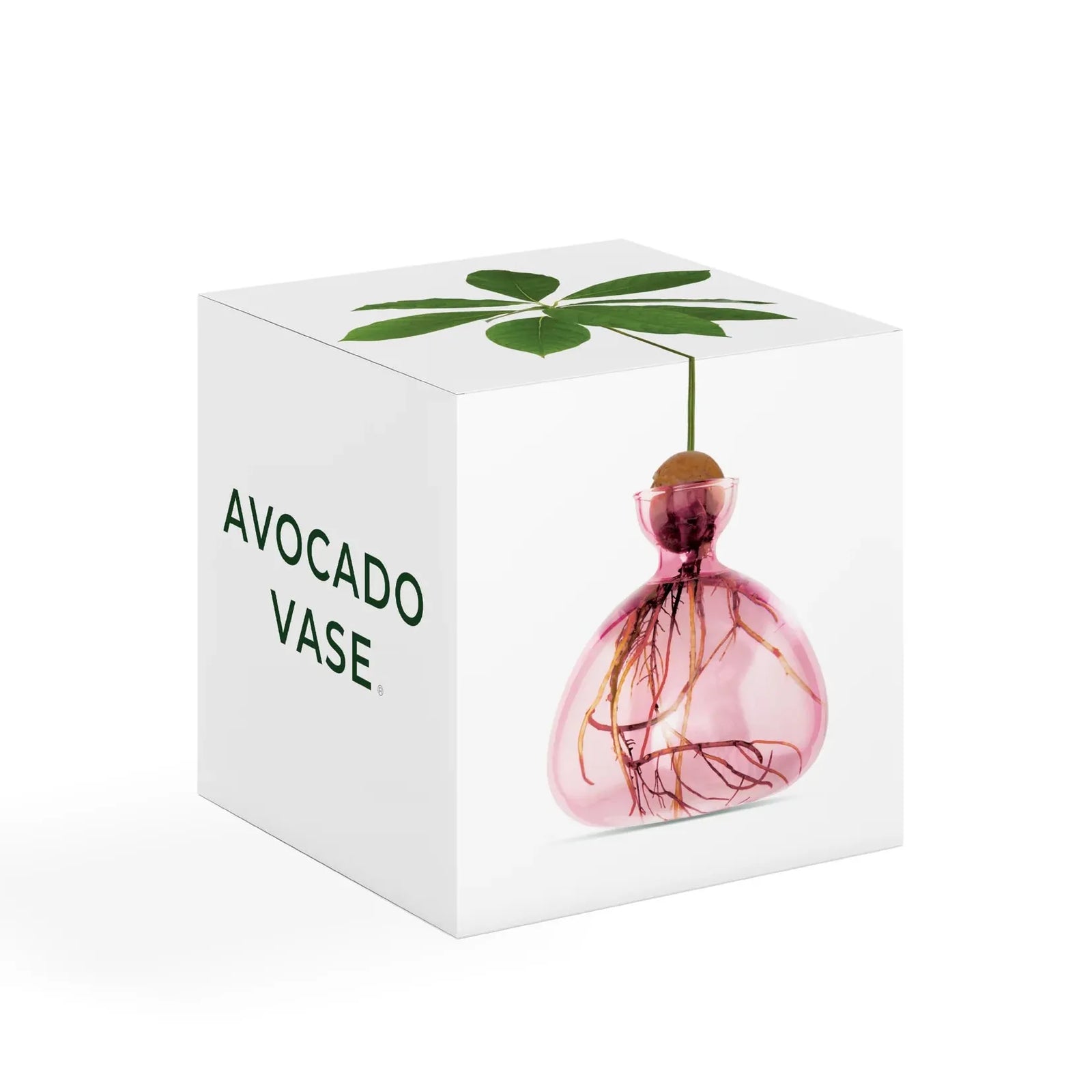 Ilex Studio Avocado Vase | Rose Pink