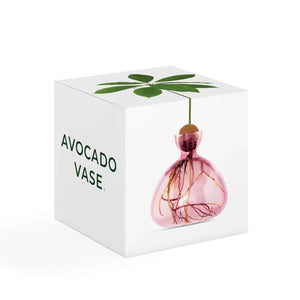 Ilex Studio Avocado Vase | Rose Pink