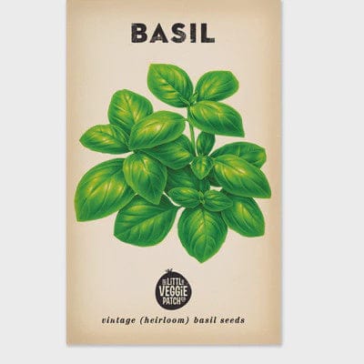 Little Veggie Patch Basil Heirloom Seeds