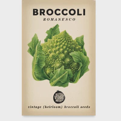 Little Veggie Patch Broccoli Heirloom Seeds