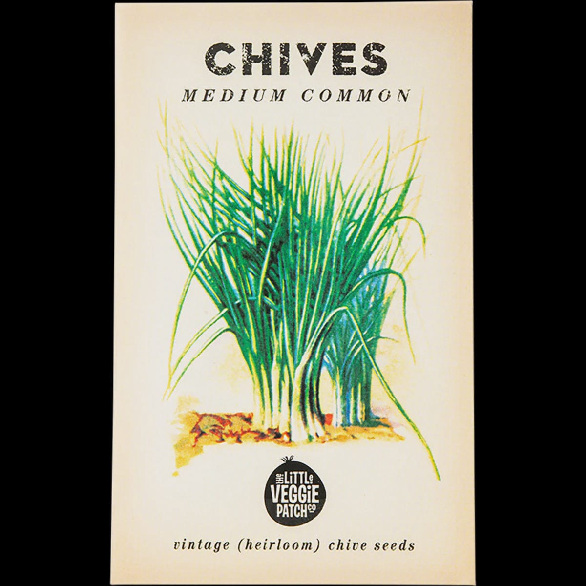 Little Veggie Patch Chives "Medium Common" Heirloom Seeds