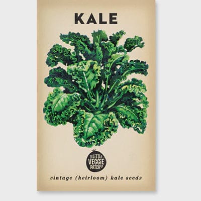 Little Veggie Patch Kale Heirloom Seeds