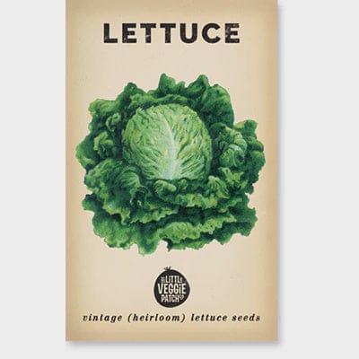 Little Veggie Patch Lettuce Heirloom Seeds