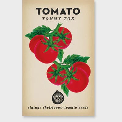 Little Veggie Patch Tomato Tommy Heirloom Seeds