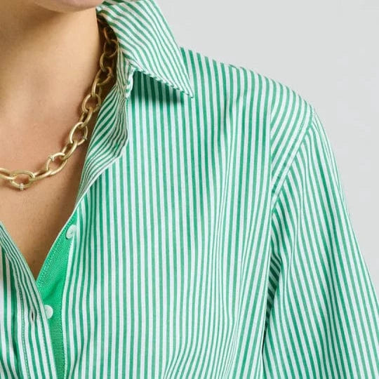 Shirty Elodie Trim Girlfriend Relaxed Shirt | Green Stripe