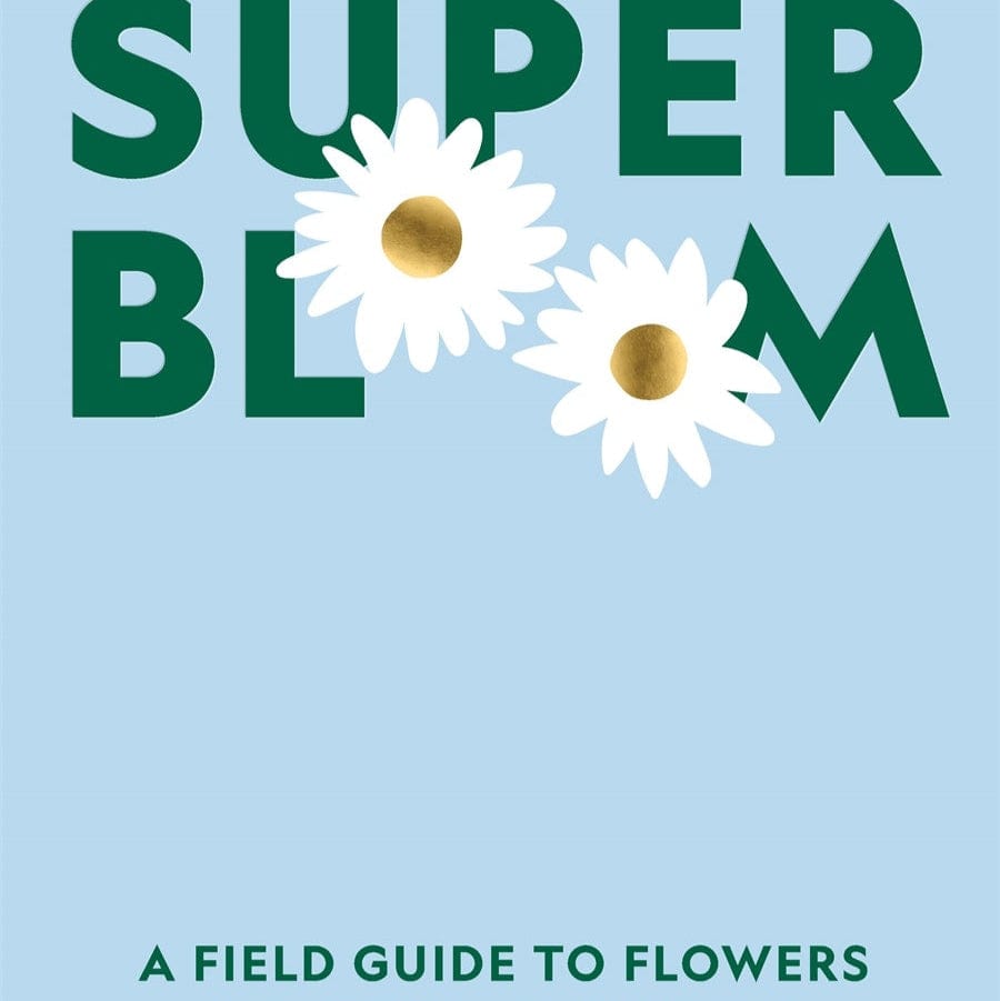 Sunday Merchant Super Bloom